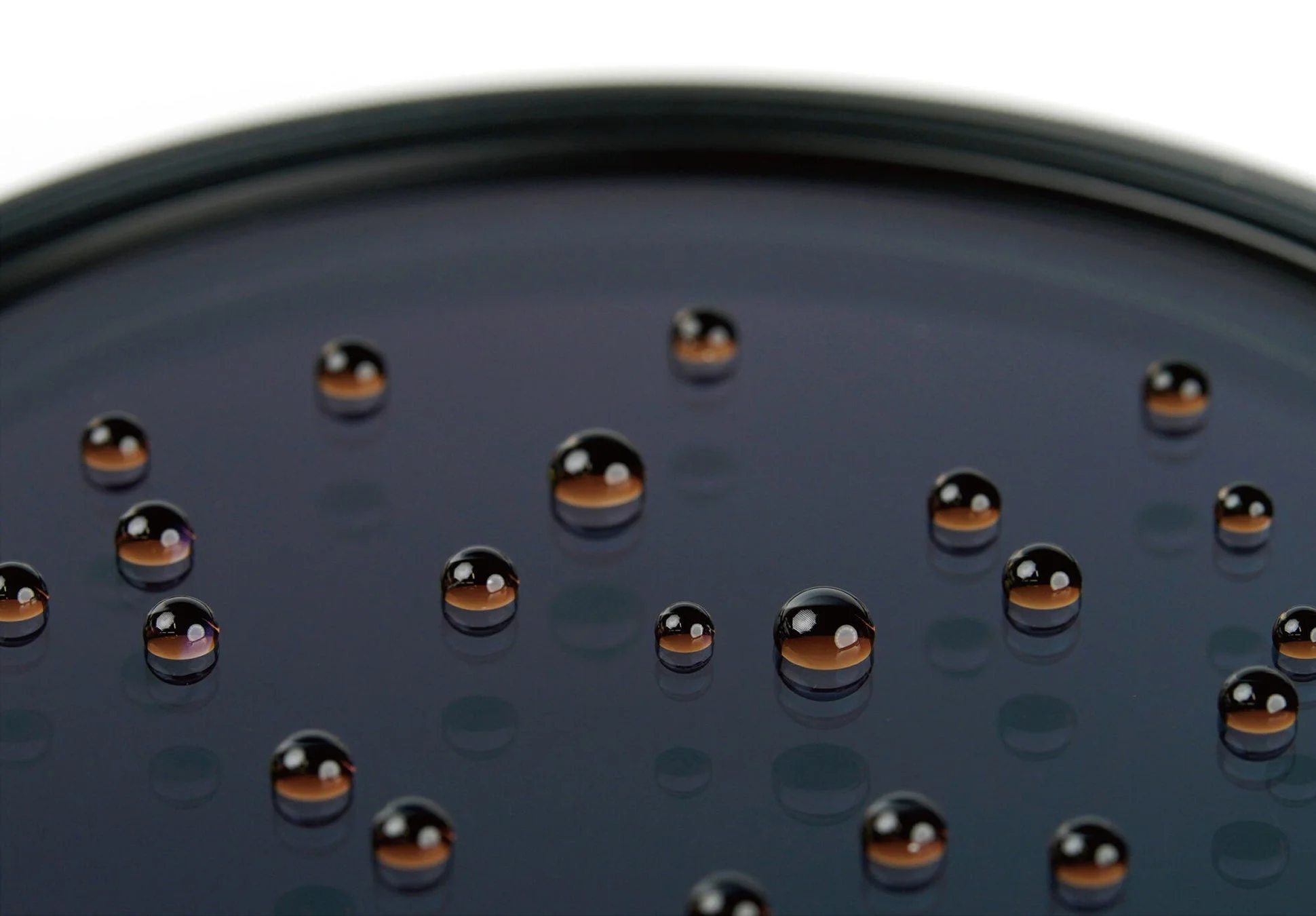 撥水・撥油コートのイメージ