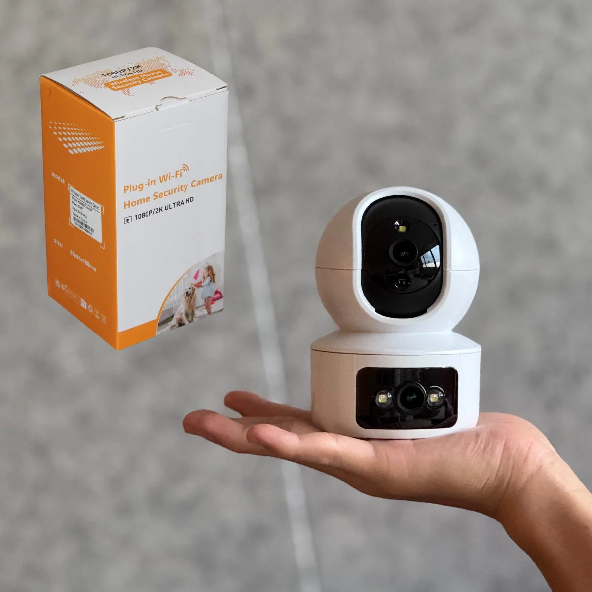 製品の外観と箱